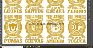 12 equipos Liga Mx, Corte de vinil, Serigrafía.