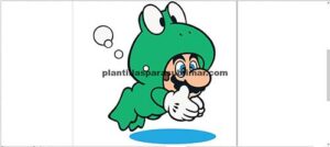 Mario -Sapito- Vector