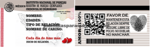 INE,IFE, CREDENCIAL DEL AMOR