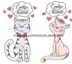 San Valentin Gatos Playeras