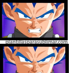 Vegeta-Vector-Sublimacion