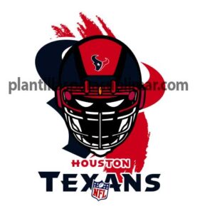 Houston-Texans-Casco-Nfl-vector