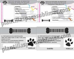 Credencial-Perro-Gato-INE-IFE-Plantilla