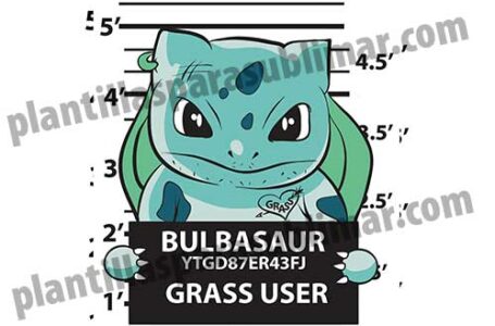 Bulbasaur-Malo-Pokemon-Vector