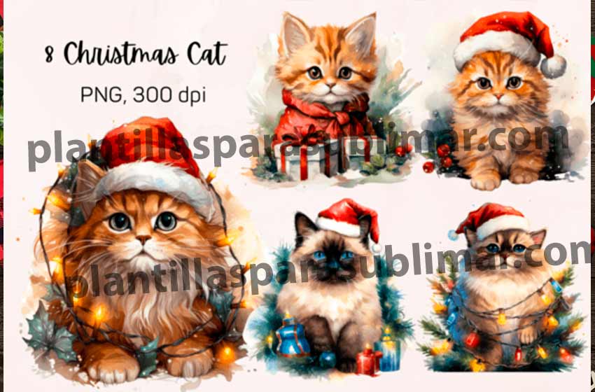 Gatos-Navidad-Luces-Watercolor-PNG