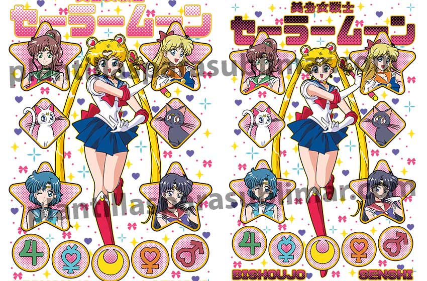 sailor moon y sus amigas