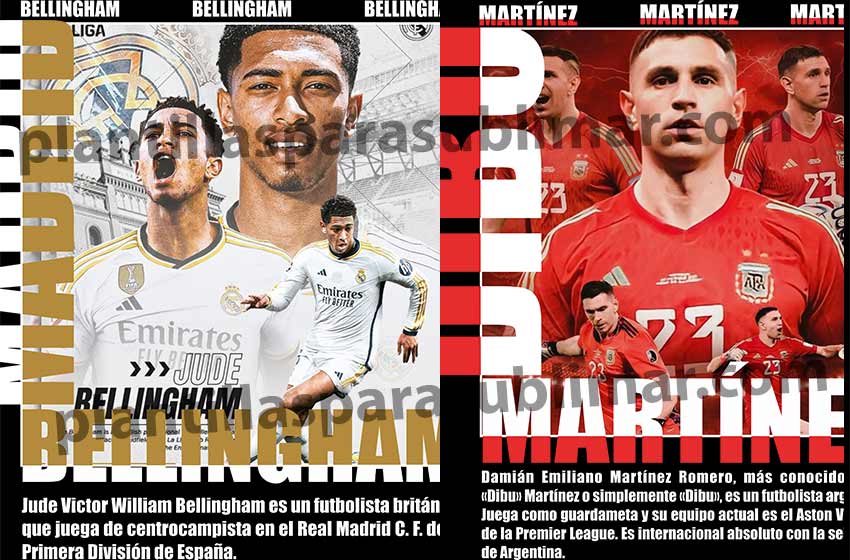 BELLINGHAM-DIBU-Playera-DTF