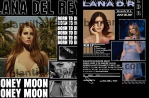 Lana-del-rey-dtf-playera