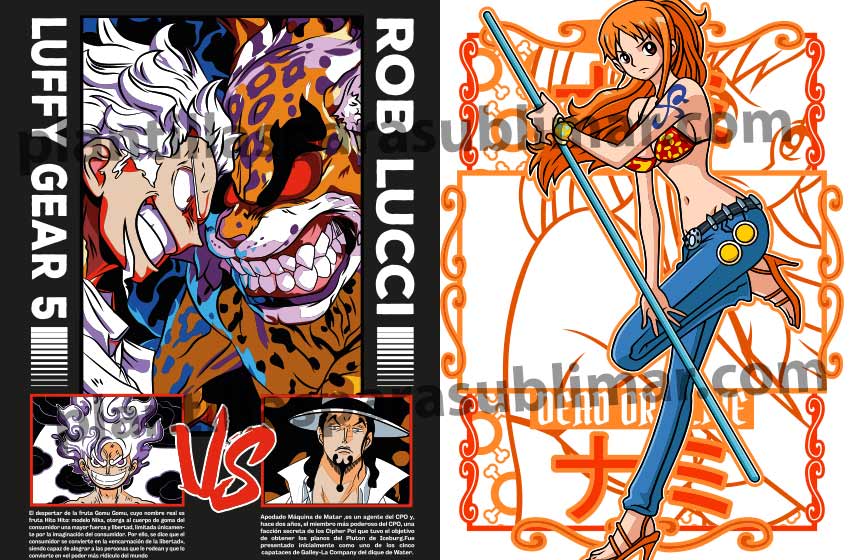 Luffy-VS-Rob-Lucci-nami
