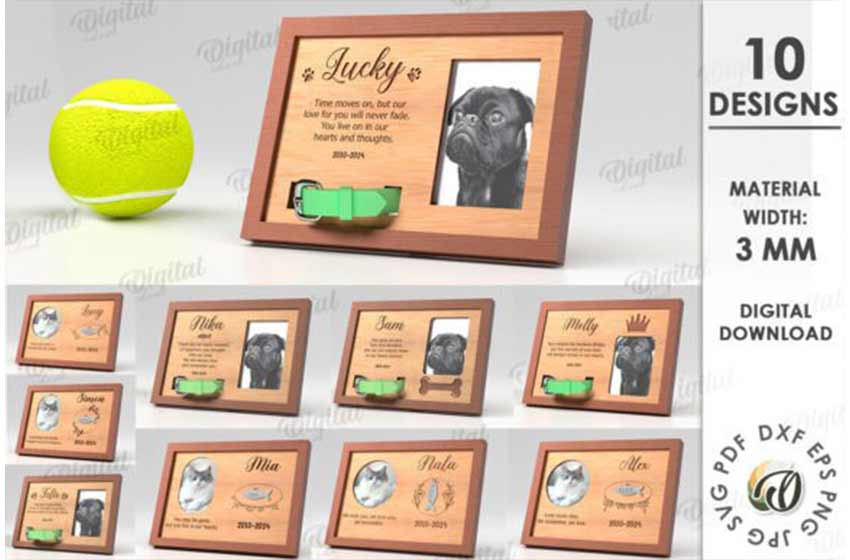 Marcos cuadros memorables gato perro