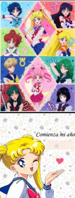 AGENDA SAILOR MOON Perpetua 400 páginas PDF